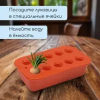 Ящик для выращивания зелёного лука, 29&times;16&times;8.5 см, 2.5 л, 10 лунок, пластик, оранжевый, Greengo