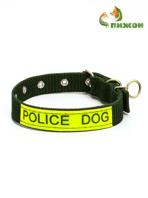 Ошейник двухслойный с вертлюгом, 2.5 см, зелёный