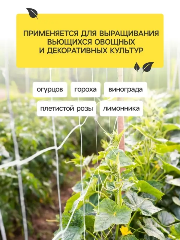 Сетка садовая для огурцов, шпалерная, 5&times;2 м, ячейка 15&times;15 см, Greengo