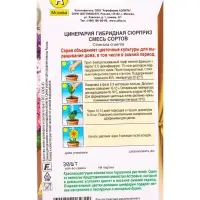 Семена цветов Цинерария гибридная Сюрприз, смесь сортов Мн Зимний сад, Ц/П,30 шт. Семена цветов Цинерария гибридная Сюрприз, смесь сортов Мн Зимний сад, Ц/П,30 шт.