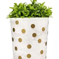 Горшок 1,6л d14см h15,5см пластик белый "Золотое напыление" 2 Горшок 1,6л d14см h15,5см пластик белый "Золотое напыление" 2