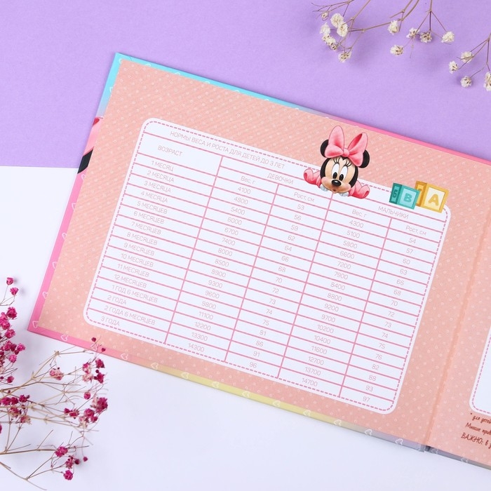 Медицинская карта-История развития ребёнка, Минни Маус Медицинская карта-История развития ребёнка, Минни Маус