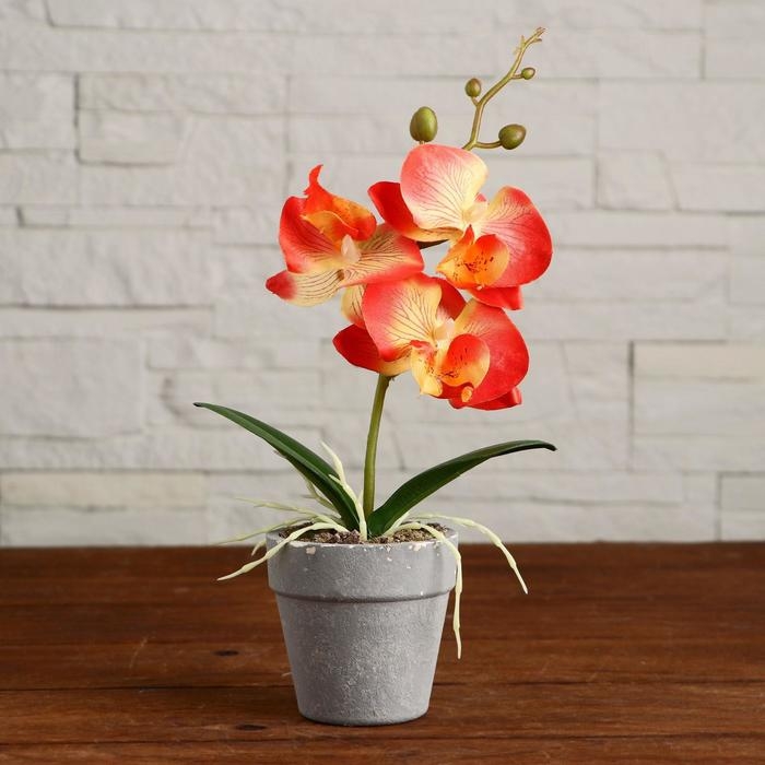 Композиция в горшочке  Композиция в горшочке "Орхидея" 7х23 см, микс