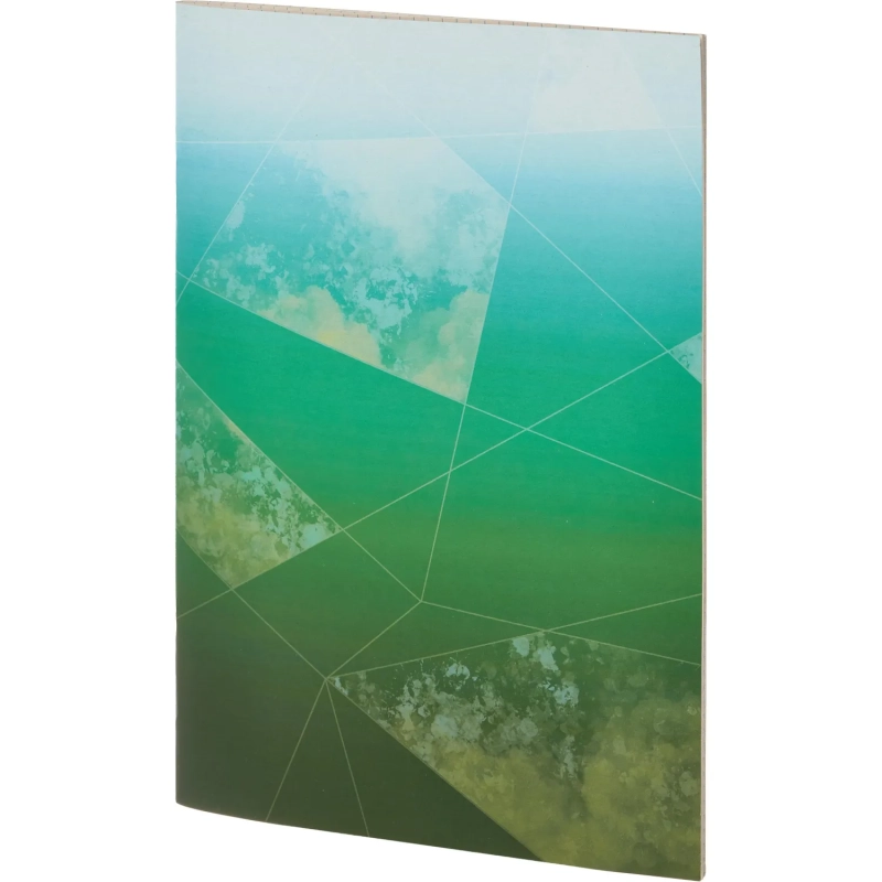 Тетрадь общая А4,48л,кл,скоб,офсет-2 Ice син/зел