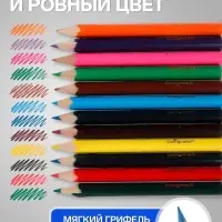 Карандаши Calligrata цветные, 12 цветов, деревянные, трёхгранные, мини