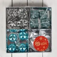 Ёлочные игрушки &laquo;Сюрприз&raquo;, набор 16 шт. (4 шара, 4 банта, 4 подарка, 4 шишки), серебристый/голубой