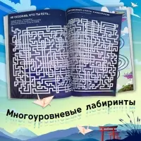 Книга с лабиринтами «Это мой путь в лабиринт», 24 стр., Аниме