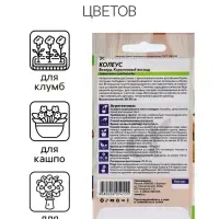 Семена комнатных цветов Колеус &laquo;Коралловый Восход&raquo;, 5 шт., &laquo;Семена Алтая&raquo;