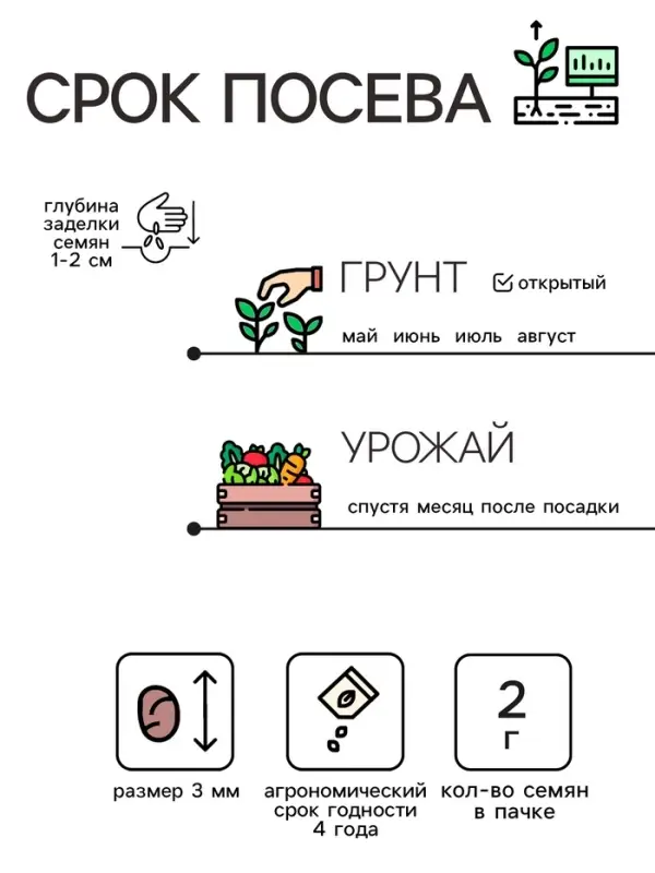 Семена Редис  Семена Редис "Смак", 2 г