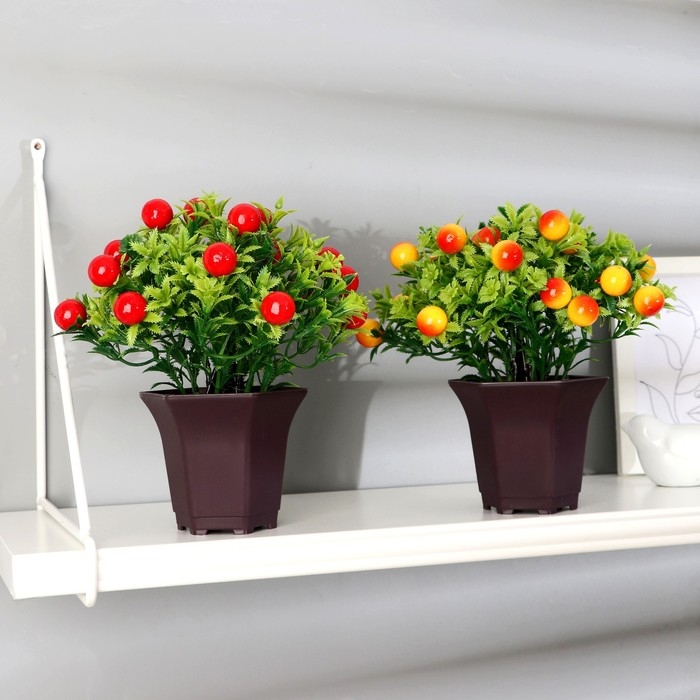 Бонсай в горшке Бонсай в горшке "Паслён ложноперечный" 19х20 см, микс