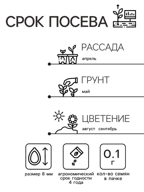 Семена  цветов Астра  Семена  цветов Астра "Махровые мячи", смесь окрасок, О, 0,1 г