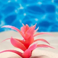 Растение для аквариума и террариума, светящееся, 10 см, красное