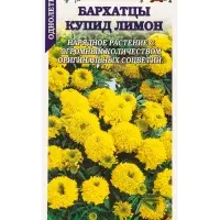 Семена Бархатцы Купид Лимон /Сотка/ 0,1 г/ прям. 35см, d-10см/*1500 Семена Бархатцы Купид Лимон /Сотка/ 0,1 г/ прям. 35см, d-10см/*1500