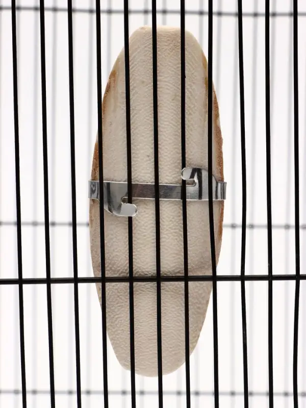 Панцирь каракатицы для птиц, 10-12 см, белый