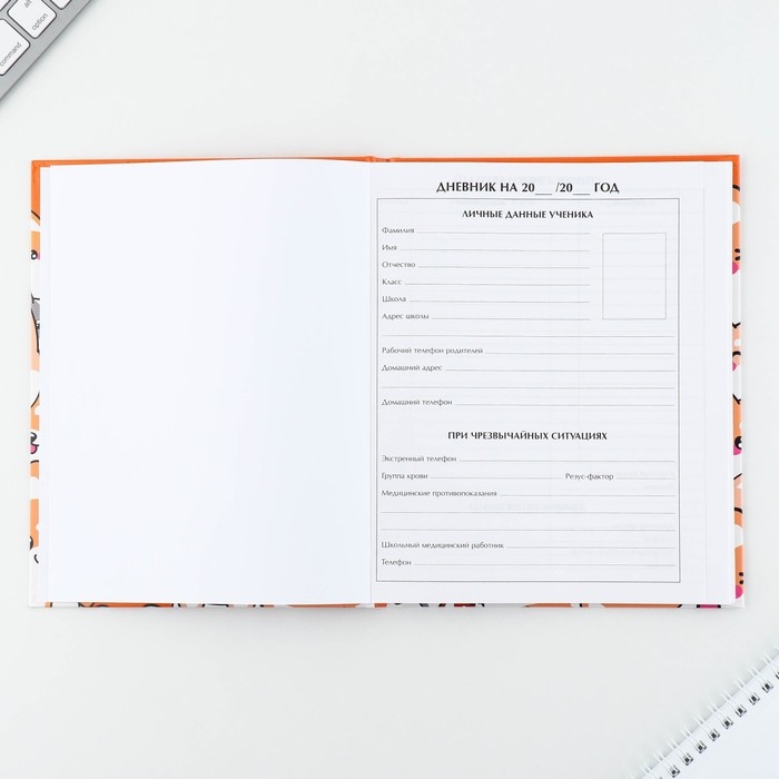 Дневник школьный 1-11 класс универсальный «1 сентября:Обаятельные корги», твердая обложка 7БЦ, глянцевая ламинация, 40 листов Дневник школьный 1-11 класс универсальный «1 сентября:Обаятельные корги», твердая обложка 7БЦ, глянцевая ламинация, 40 листов