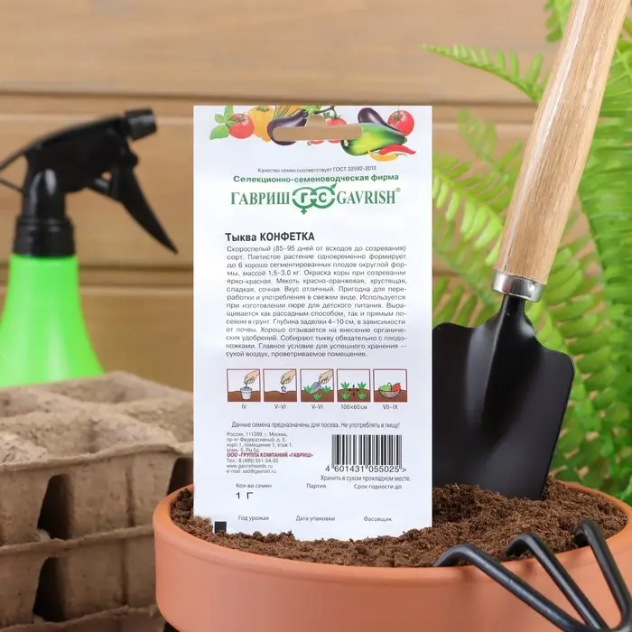 Семена Тыква  Семена Тыква "Конфетка",  1 г