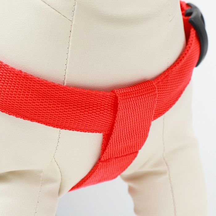 Шлейка светящаяся размер M, стропа 2,5 см, ОГ 38-50 см, 3 режима свечения красная Шлейка светящаяся размер M, стропа 2,5 см, ОГ 38-50 см, 3 режима свечения красная