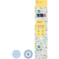 Карандаши цветные 6цв. 6-гран пласт.корпус