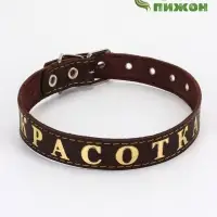 Ошейник однослойный "Красотка", 2.5 см, тиснение фольгой, микс цветов Ошейник однослойный "Красотка", 2.5 см, тиснение фольгой, микс цветов