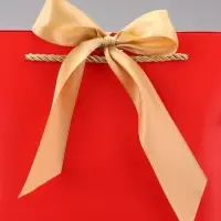 Пакет подарочный ламинированный, с лентой &laquo;Красный&raquo;, горизонтальный, 19&times;20&times;9 см