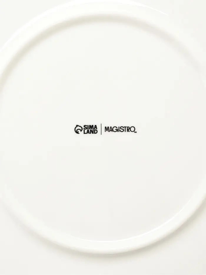 Тарелки Magistro White Snow, набор 2 шт., d=26 см, фарфор, белые