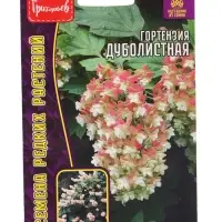 Семена цветов Гортензия Дуболистная  20 шт.  12.29 г.