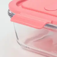 Контейнер Доляна Cook and Freeze, 650 мл, 17.5&times;13&times;6 см, с крышкой, жаропрочное стекло, МИКС