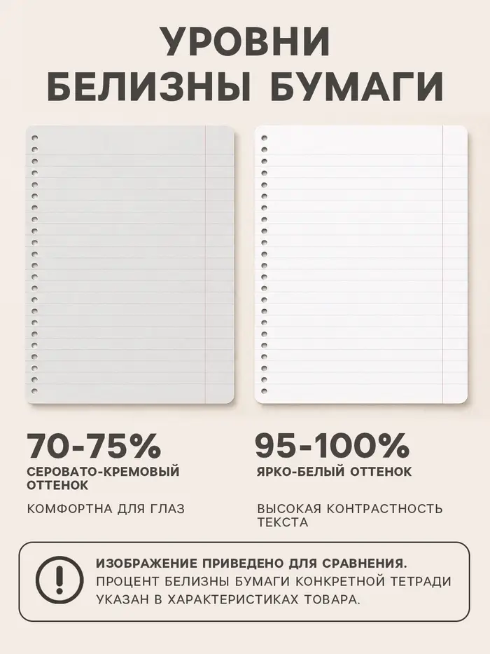 Тетради 4 штук, 48 листов в клетку &laquo;Лисички&raquo;, обложка мелованная бумага, блок №2, белизна 75% (серые листы)
