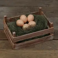 Яйцо искусственное подкладное, для кур, 4×5 см, 1 шт., коричневое, Greengo