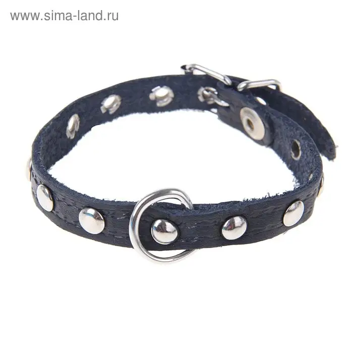 Ошейник тисненый однослойный, 31&times;1.2 см, украшенный, кожа, цвет МИКС