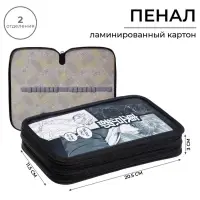 Пенал школьный, 2 секции, 12.5&times;20.5&times;4 см&laquo;Аниме принт&raquo;