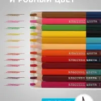 Карандаши 24 цвета &laquo;Луч&raquo;, 12 штук, деревянные, заточенные, трёхгранные, толстые, с точилкой