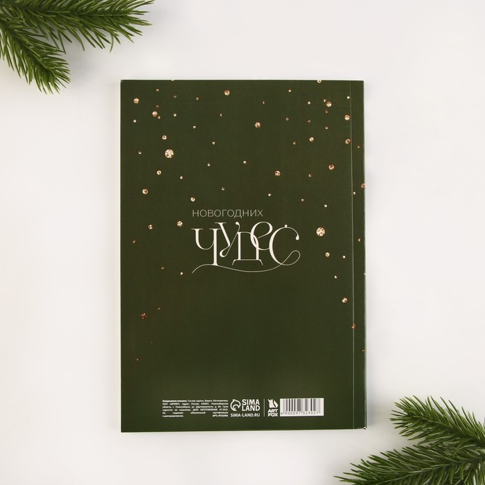 Новый год. Ежедневник-планинг «Верь в мечту», А5, 80 л. Новый год. Ежедневник-планинг «Верь в мечту», А5, 80 л.