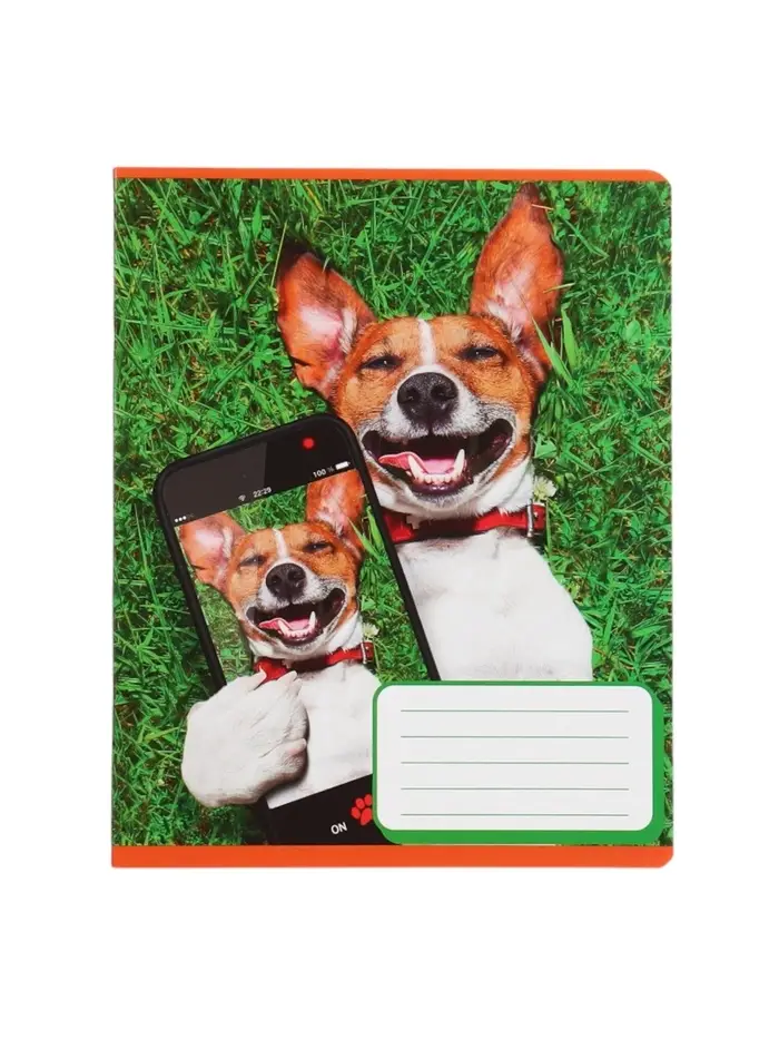 Комплект тетрадей из 10 штук, 12 листов в косую линию Calligrata "СелфиDOG", обложка мелованная бумага, ВД-лак, блок №2, белизна 75% (серые листы), 5 видов по 2 штуки