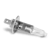 Галогенная лампа AVS Vegas H1.12V. 55W.1шт.