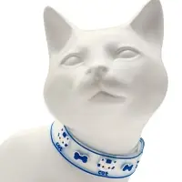 Набор ошейников для кошек &laquo;Котя&raquo;, 30&times;1 см, оранжевый, синий