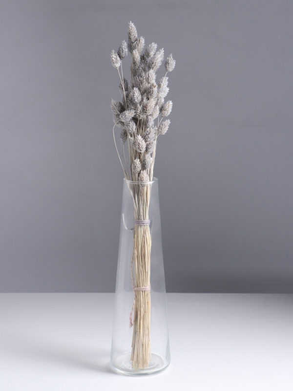 Набор сухоцветов "Фаларис", банч длина 55 (+/- 6 см), голубой