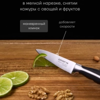 Набор кухонных ножей из 3 предметов Millennium 3SS