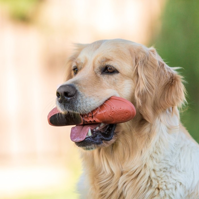 Игрушка пищащая Игрушка пищащая "Туфля" для собак, 17 см, коричневая