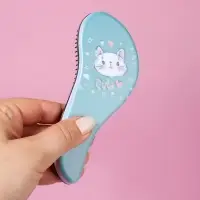 Расчёска массажная, 5,5 × 14,5 см, PVC коробка, рисунок МИКС