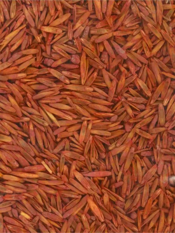 Газонная травосмесь для быстрого восстановления газона POWERSEED, 1 кг