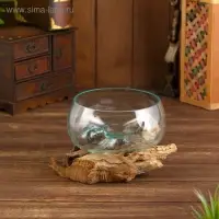 Вазон на коряге "Аква" 35х30х23 см Вазон на коряге "Аква" 35х30х23 см