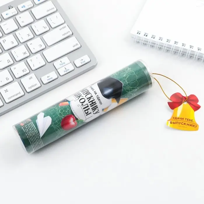 Ручка шариковая в тубусе, пластик, синяя паста, 1.0 мм «Выпускнику школы»