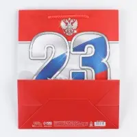 Пакет подарочный ламинированный, упаковка, &laquo;23 февраля!&raquo;, ML 23&times;27&times;11.5 см