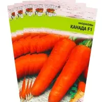 Набор семян Морковь &laquo;Канада&raquo;, 5 шт.