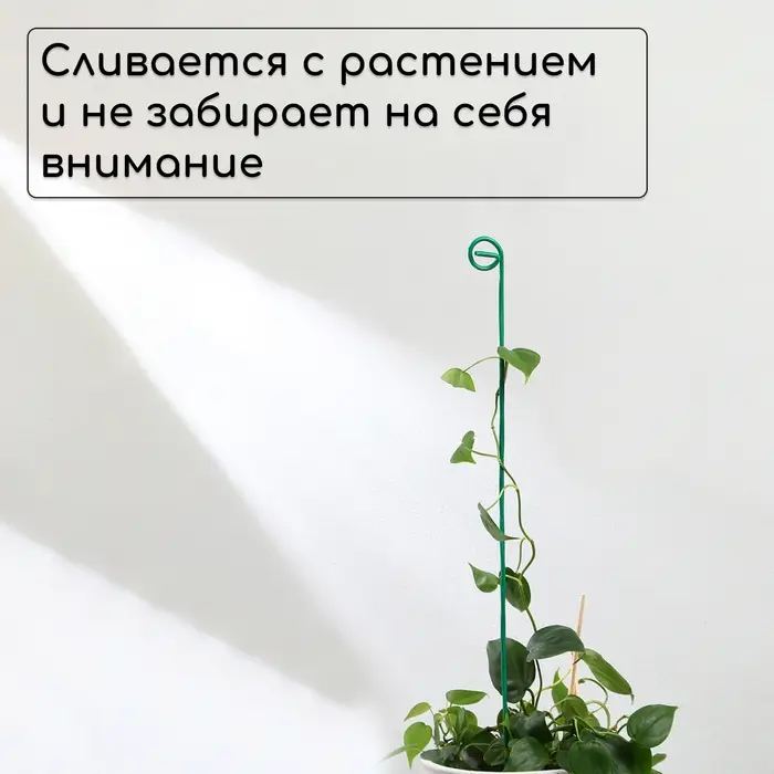 Колышек для подвязки растений, h=60 см, d=3 мм см, проволочный, зелёный, Greengo