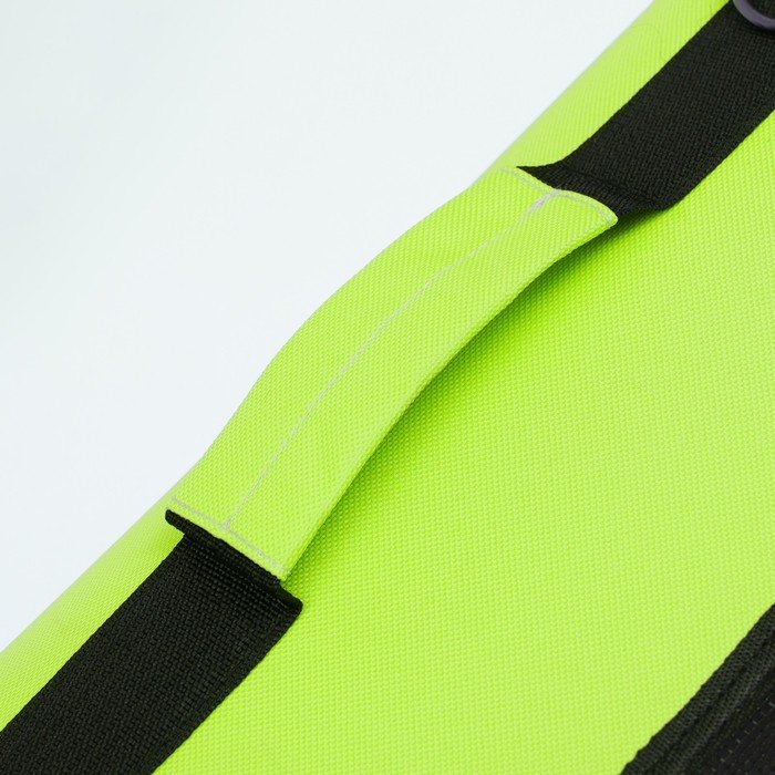 Сумка-переноска с окном для мордочки, 42 х 21 х 25 см, салатовая Сумка-переноска с окном для мордочки, 42 х 21 х 25 см, салатовая