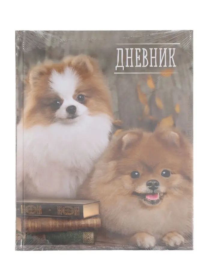 Дневник школьный для 1-11 классов, &laquo;Шпиц&raquo;, твёрдая обложка 7БЦ, глянцевая ламинация, 40 листов