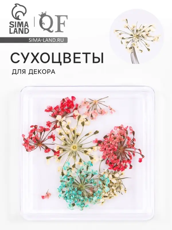 Сухоцветы для декора &laquo;Яркость&raquo;, в футляре, МИКС