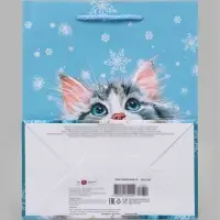 Пакет подарочный &laquo;Котик и снежинки&raquo;, 18&times;10&times;22.3 см